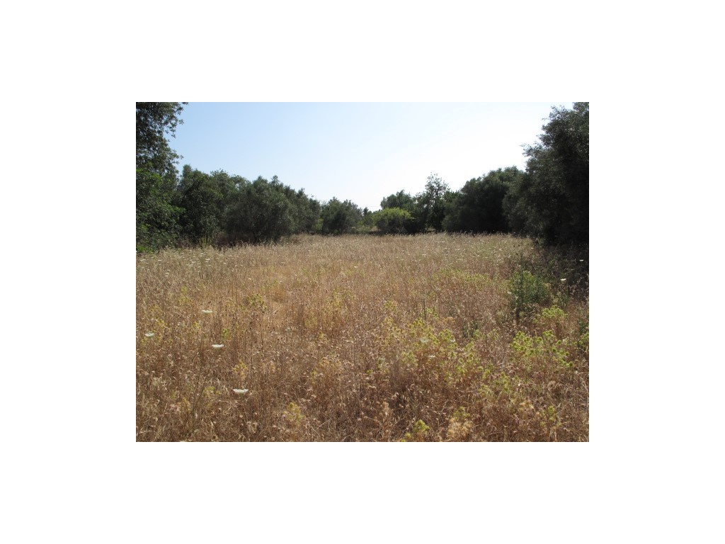 Mixed Land_for_sale_in_Faro_SMA10812