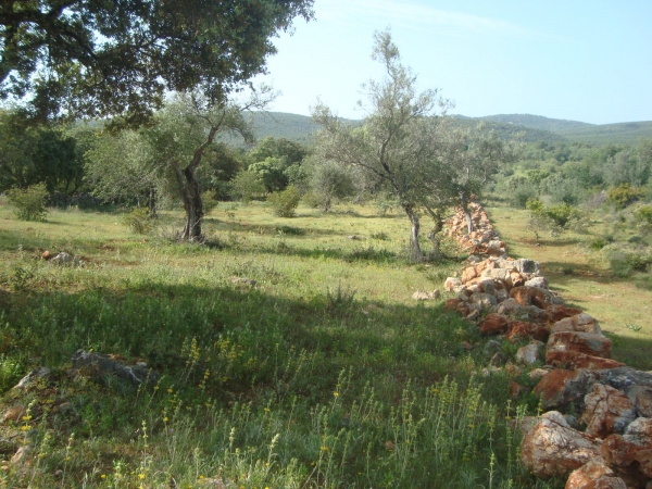 Land_for_sale_in_Loule_SMA13479