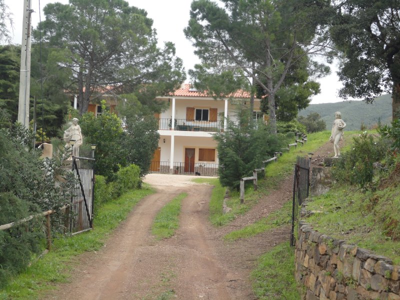 Real estate Portugal - Algarve and Silver Coast Real estate for sale also Golf Properties around ...