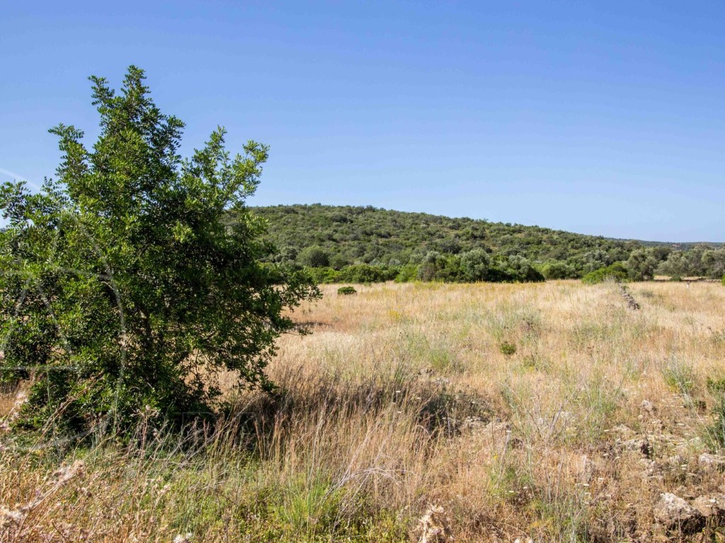 Rural Land_for_sale_in_Faro_SMA8902