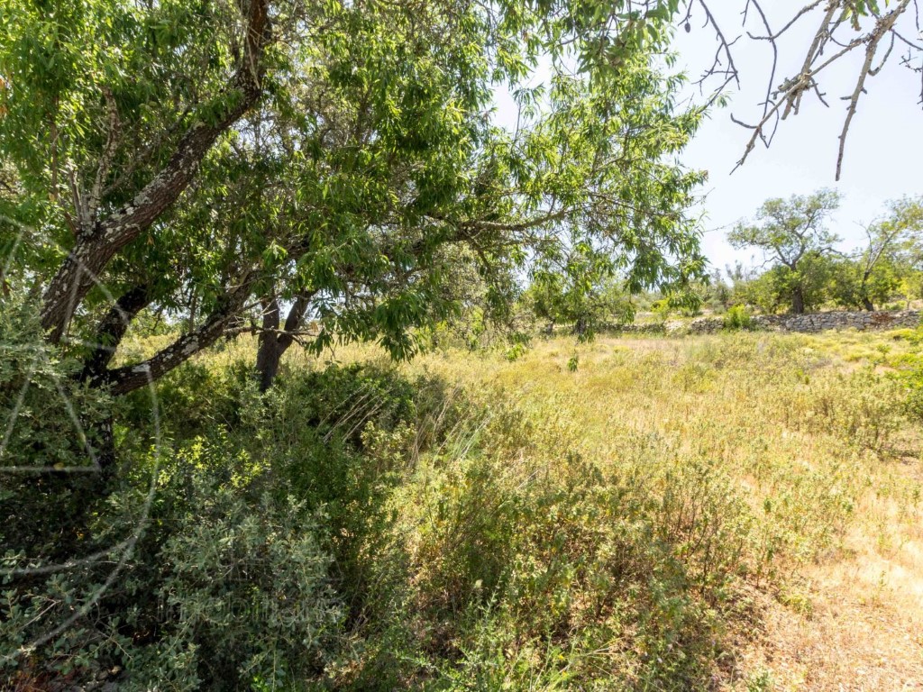Rural Land_for_sale_in_Loulé_SMA8905