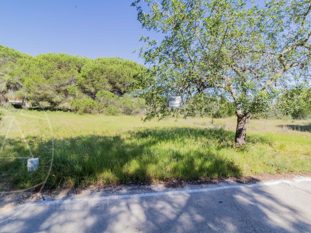 Rural Land_for_sale_in_Loulé_SMA8913