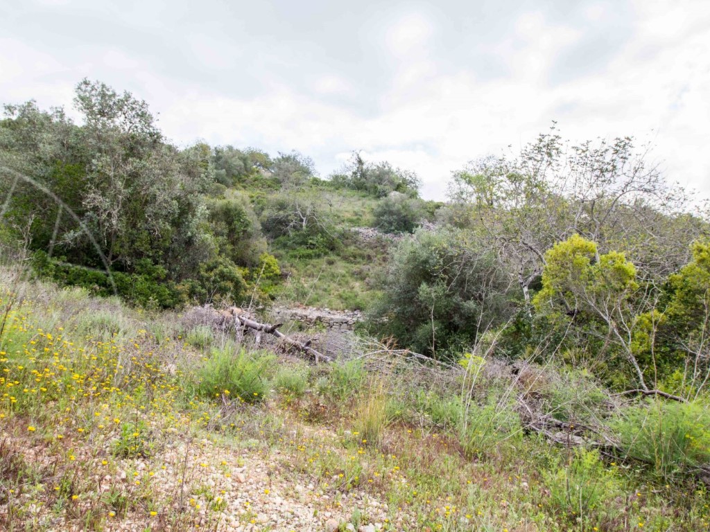 Rural Land_for_sale_in_Faro_SMA8916